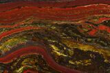 Polished Tiger Iron Stromatolite - Billion Years #129213-1